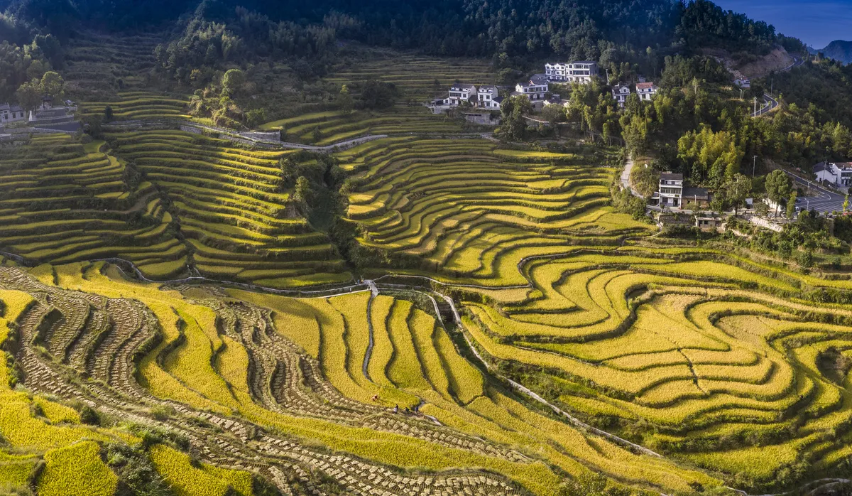 Wuyun Mountain Terrace Ecotourism Area