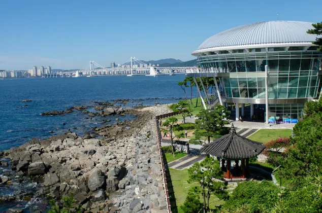 Отзывы об отеле Canvas Hostel