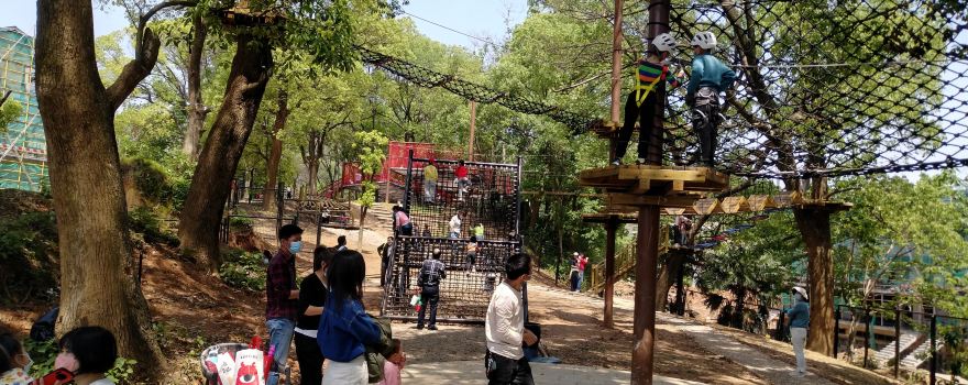 New Travel Global Teddy Park