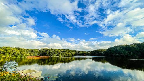 Jilin Jiangcheng Forest Botanical Garden