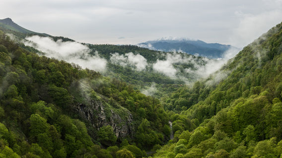 Dilijan