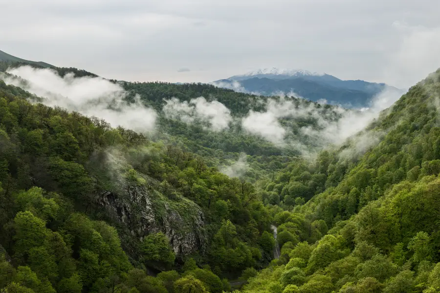 parco nazionale di Dilijan