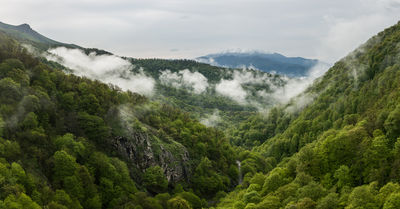 Dilijan National Park