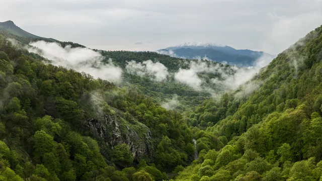 Dilijan National Park