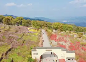 Liyuan Scenic Area