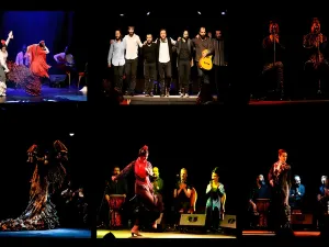 Flamenco City Hall Theatre - Barcelona
