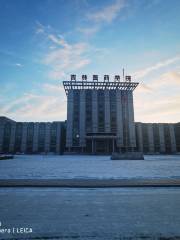 Jilinyiyao College Library