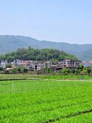 Changtai Longfeng Valley