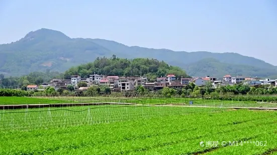 長泰龍鳳谷