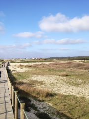 Paisagem Protegida Regional do Litoral de Vila do Conde e Reserva Ornitológica de Mindelo