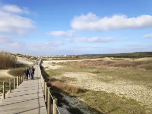 Paisagem Protegida Regional do Litoral de Vila do Conde e Reserva Ornitológica de Mindelo