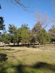 Jardín japonés de Necochea