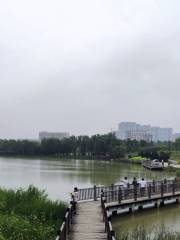 泗洪城南公園