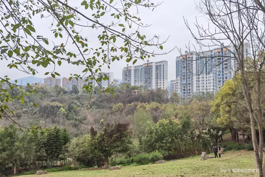 Huangjueshu Park