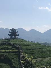 伍家台貢茶文化旅遊區-觀景台