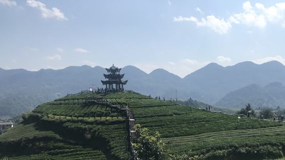 Wujiatai Gongcha Cultural Tourism Area - Viewing Platform