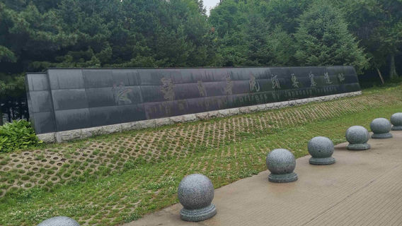 qin hua ri jun hu tou yao sai yi zhi