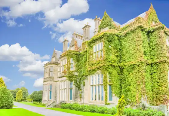 Hotels near Muckross House