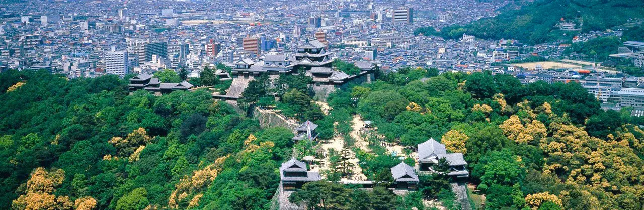 밤의 인기 장면