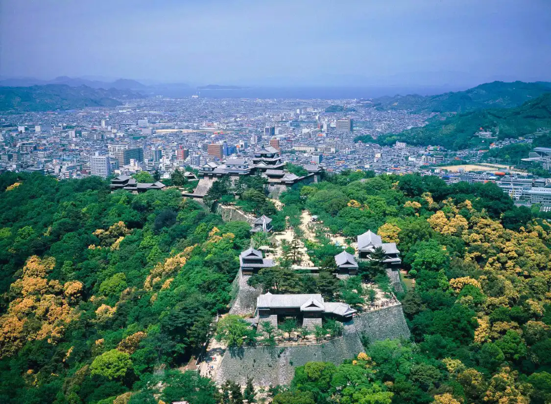 Hotels near Matsuyama Castle
