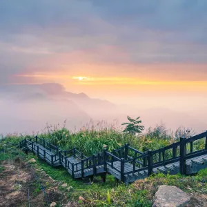 阿里山隙頂雲海