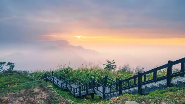 阿里山隙頂雲海