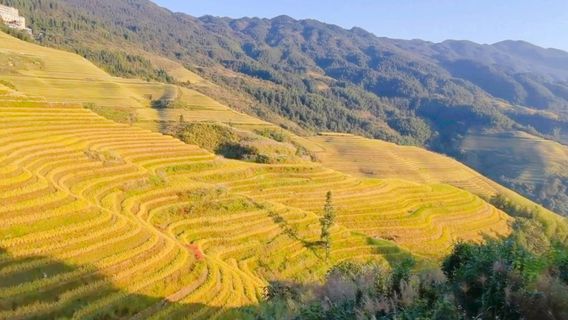 Оптимистический Аттракцион Сяошань