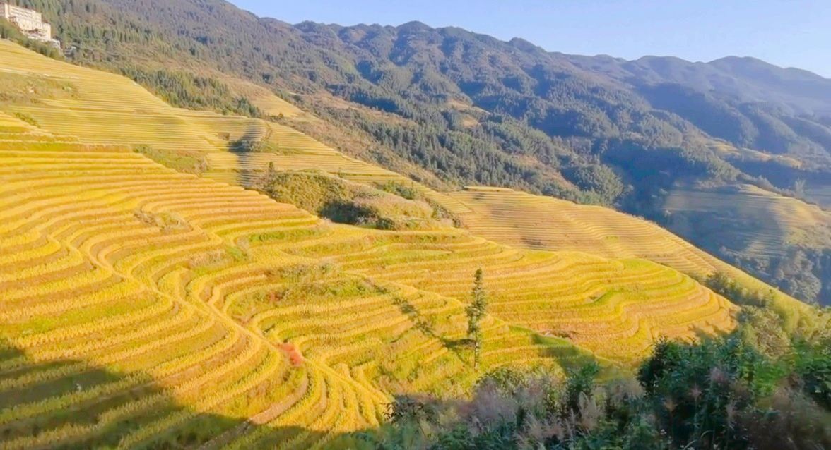西山韶樂觀景點