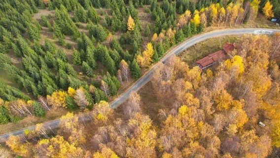 Wusufu Mountain Forest Park