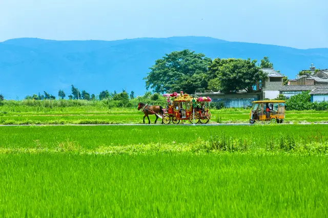 Horse Carriage Experiences in Dali