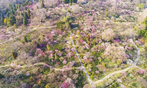 Meiling National Scenic Area