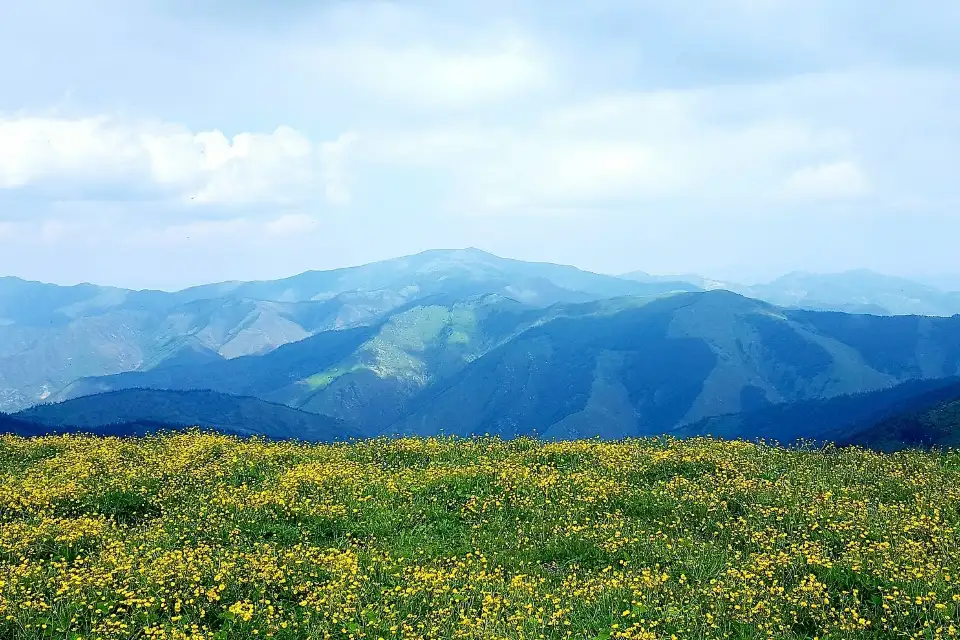 3_Wutai Mountain