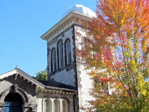多倫多大學