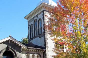 Popular Fall Viewing Attractions in Toronto