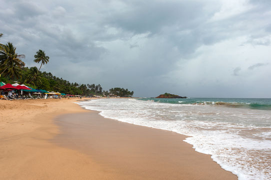 Mirissa Beach