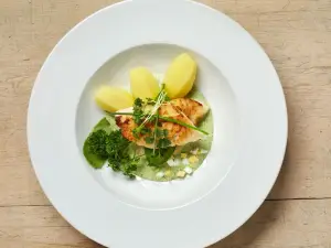 Fisch Franke
