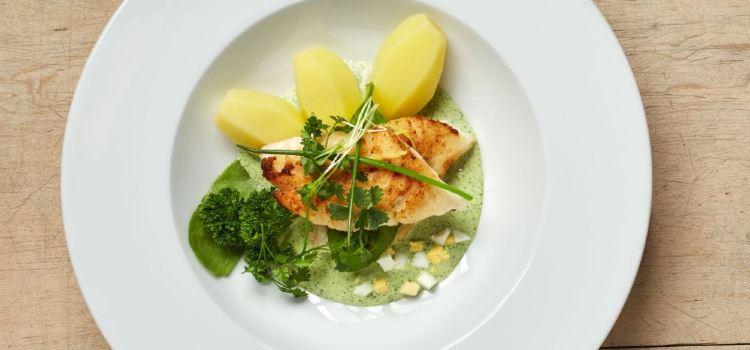 Fisch Franke