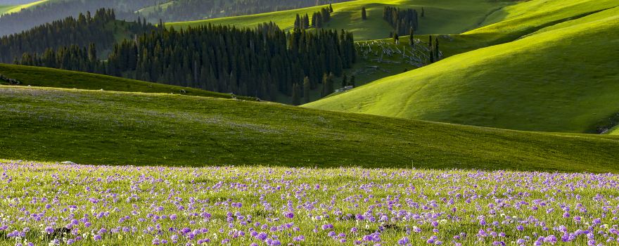 新疆地名中英对照 新疆地名中英对照