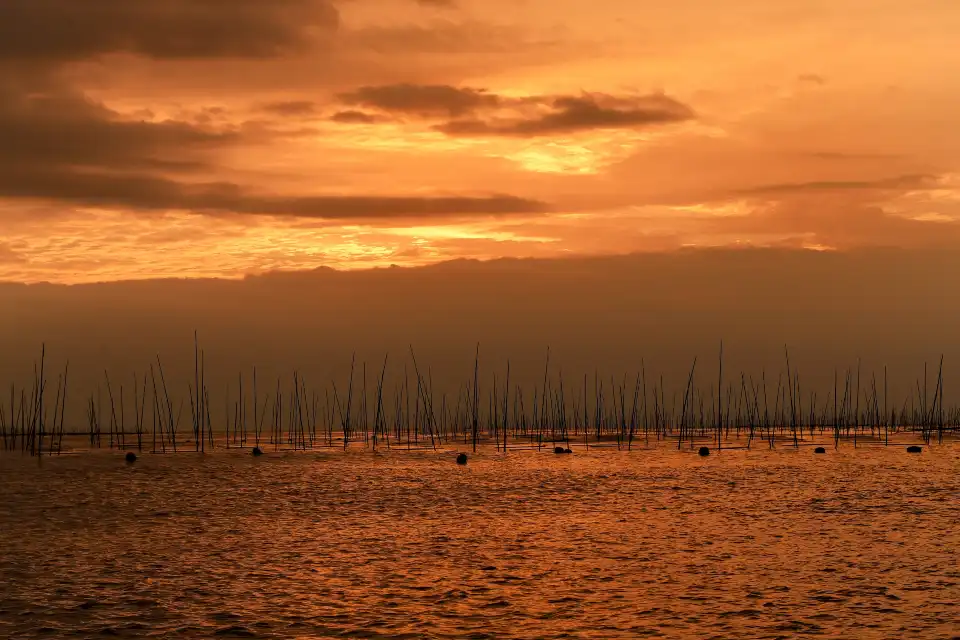 4_Beiqi Mudflat