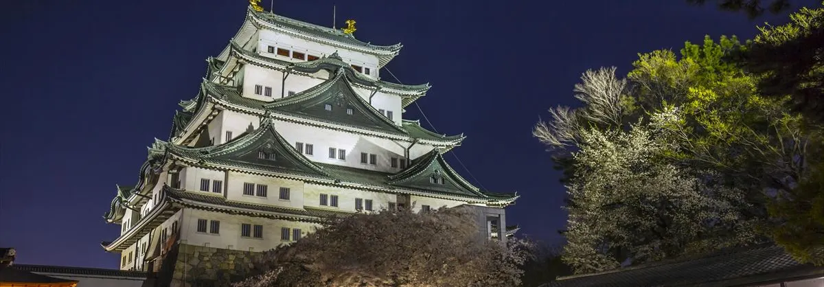 Night Attractions