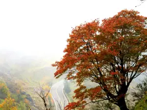 Sedan Chair Snow Mountain Tourism Zone