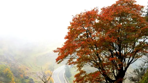 Jiaozi Snow Mountain attraction in Kunming