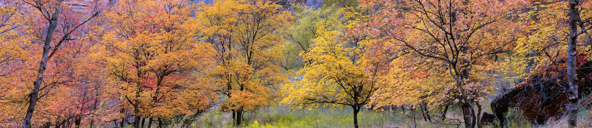 Attrazioni per la visione autunnale