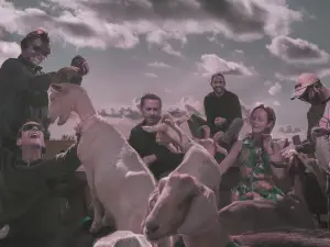 英國布賴頓 · Sea Power《Celebrating 7 years of Chalk》演出