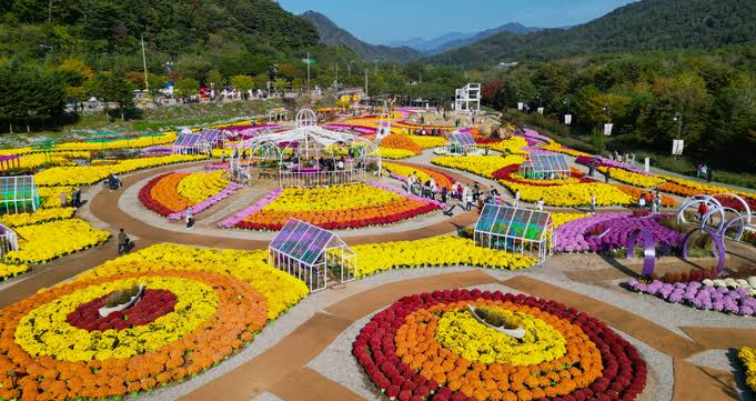 INJE Fall Flower Festival | Inje-gun