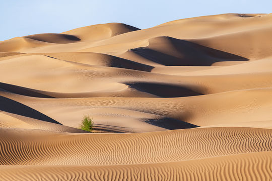 Kubuqi Desert