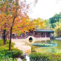 荔枝角公園入面的「嶺南之風」 ，回到古代的感覺，影相位超正！