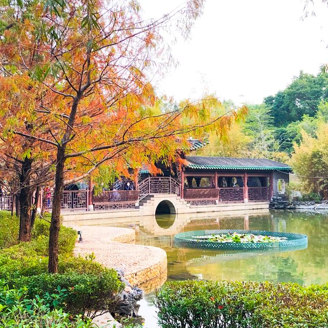 荔枝角公園入面的「嶺南之風」 ，回到古代的感覺，影相位超正！