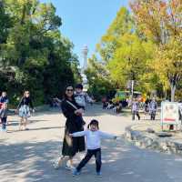 大阪親子遊 必去動物園 