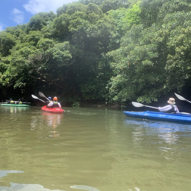 旅行 ｜ 西表島でカヌー体験